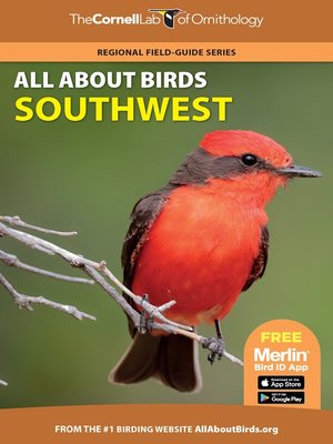 cover image of All About Birds Southwest